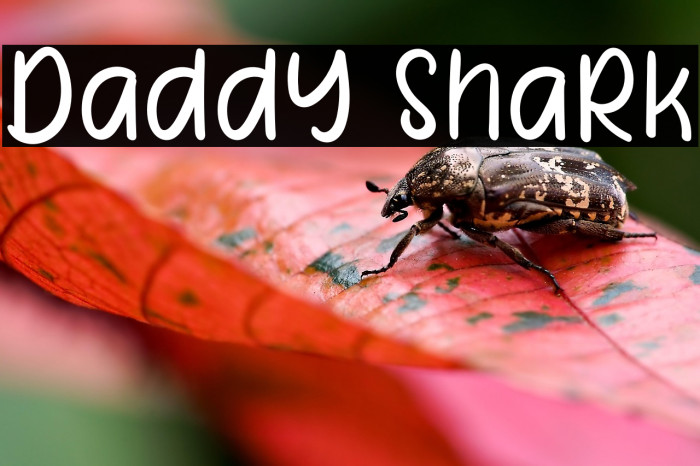 Daddy Shark Example 3