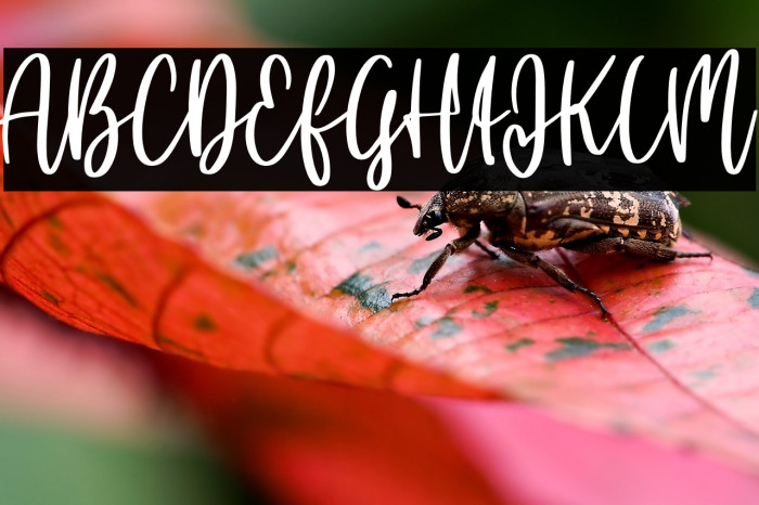 Daddy dear Example 1