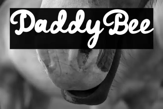 DaddyBee Example 2