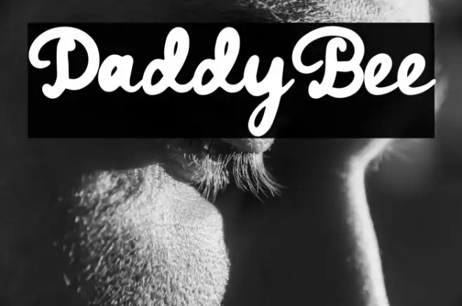 DaddyBee Example 3