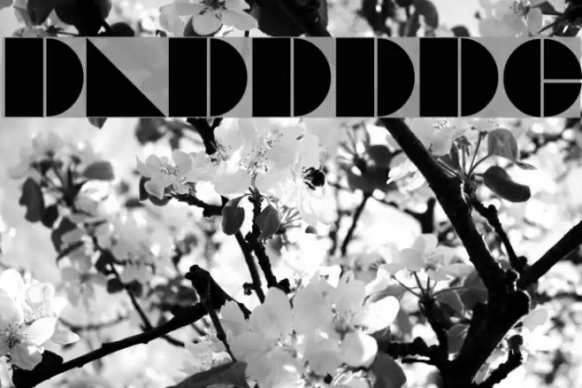 DaddyDontDisco Font examples