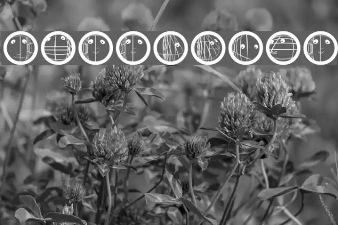 DaddyGrid Font examples