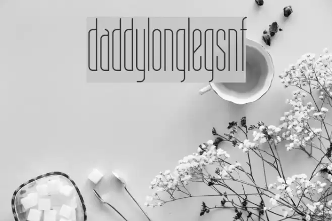 DaddyLonglegsNF Font examples