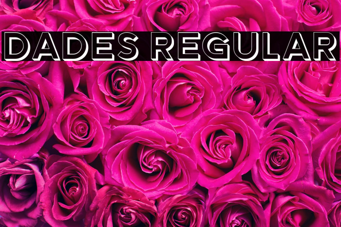 Dades Regular Example 1