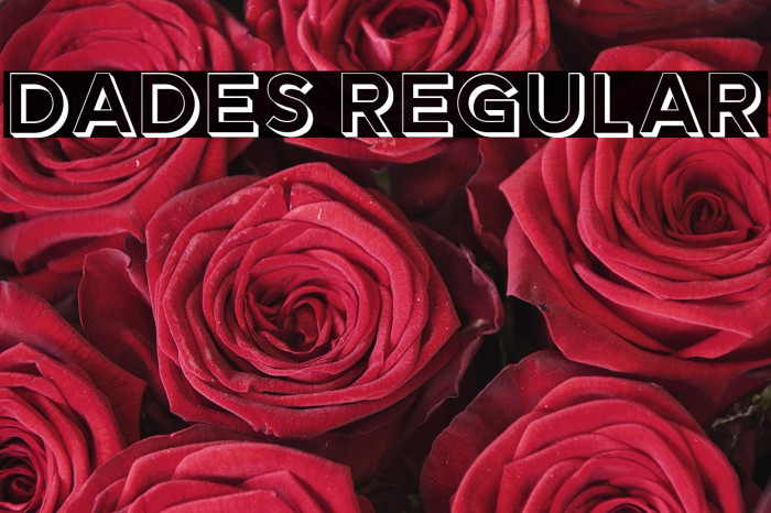 Dades Regular Example 3