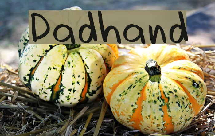 Dadhand Font examples