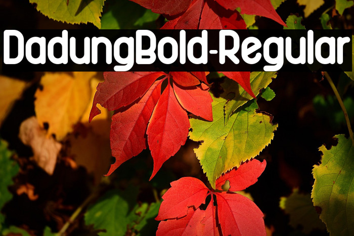 DadungBold-Regular Example 2