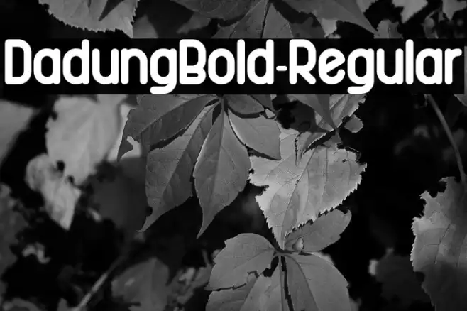 DadungBold-Regular Example 2