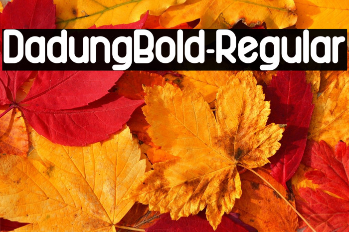 DadungBold-Regular Example 3