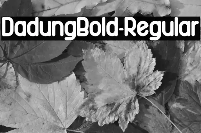 DadungBold-Regular Example 3