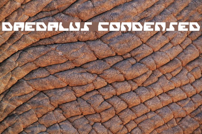 Daedalus Condensed Font examples
