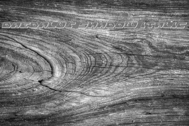 Daedalus Shadow Italic Fuentes examples