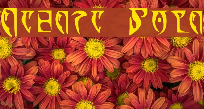 Daedra Bold Font examples