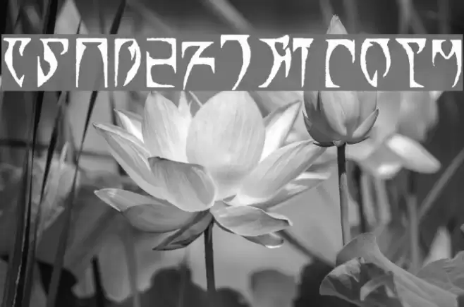 Daedric Runes Шрифта examples
