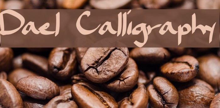 Dael Calligraphy Font examples