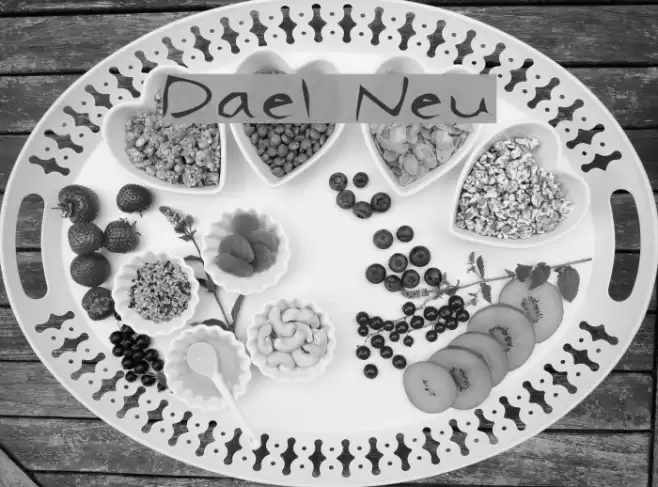 Dael Neu フォント examples