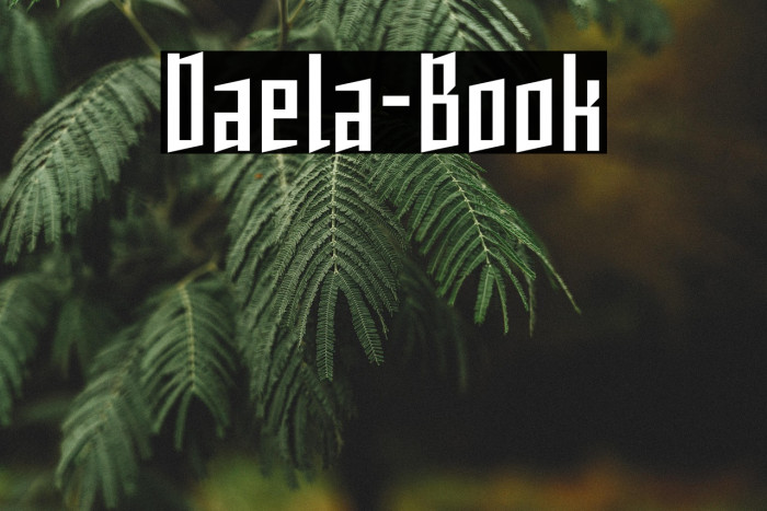 Daela-Book Example 3