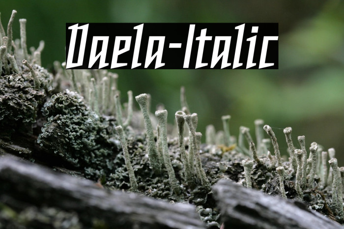 Daela-Italic Example 2