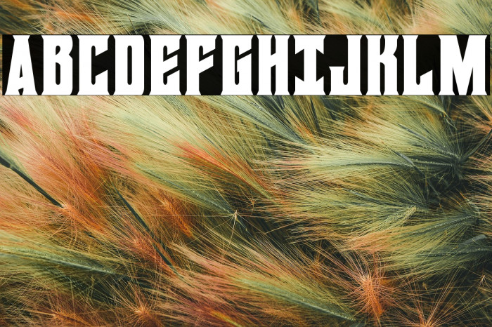 Daemonicus Condensed Example 2