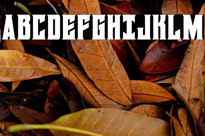 Daemonicus Condensed Example 3