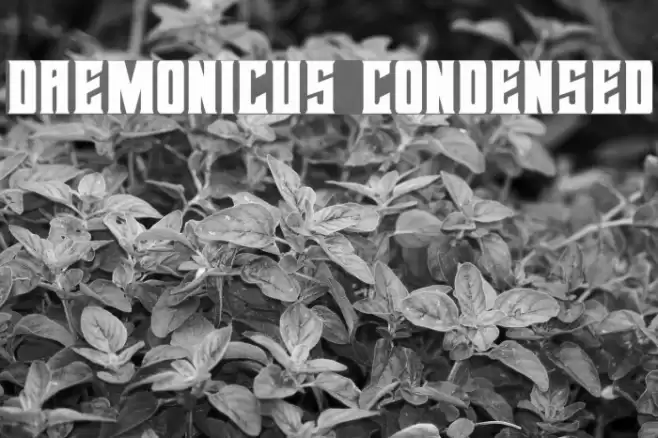 Daemonicus Condensed Font examples