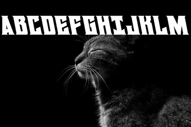 Daemonicus Leftalic Font examples