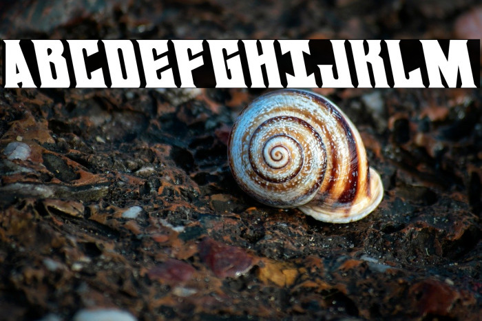 Daemonicus Leftalic Example 3