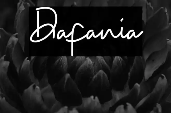 Dafania Example 2