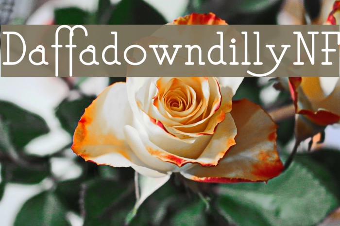 DaffadowndillyNF Font examples