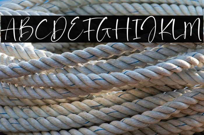 Daffodil Kingdom Example 1