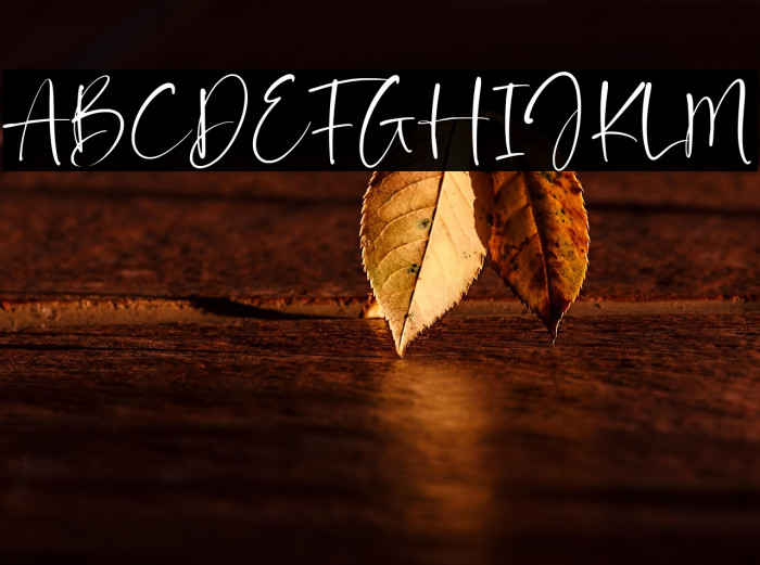 Daffodil Kingdom Example 2