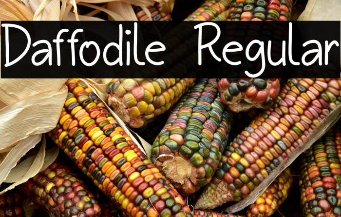 Daffodile Regular Example 2