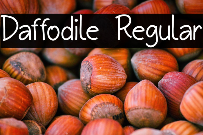 Daffodile Regular Example 3