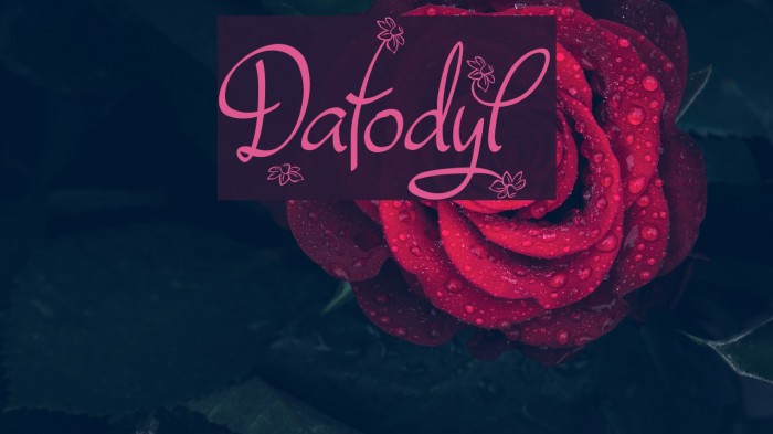 Dafodyl Font examples