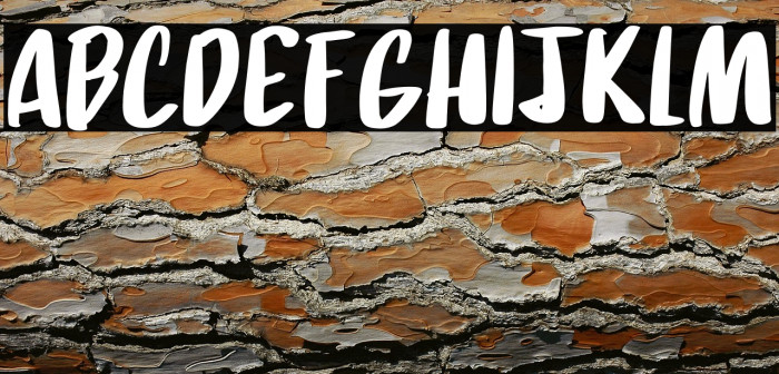 Daft Script DEMO Regular Example 1