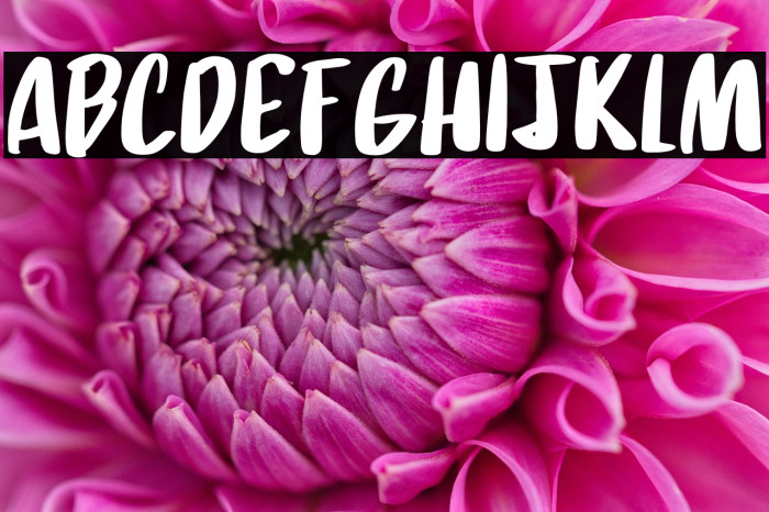 Daft Script DEMO Regular Example 3