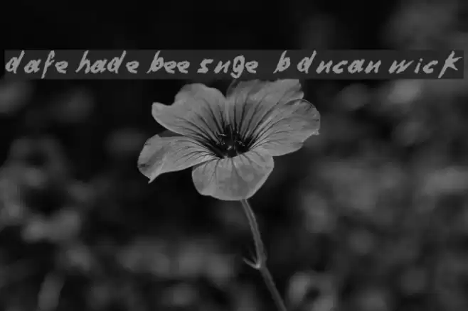 Dafter Harder Better Stronger © by Duncan Wick Font examples