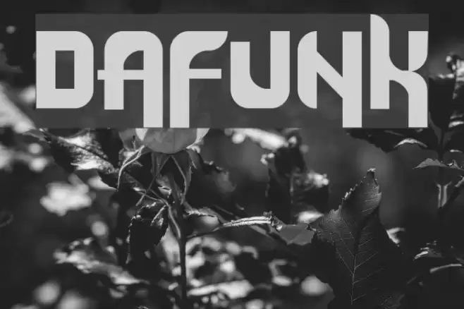 Dafunk Font examples