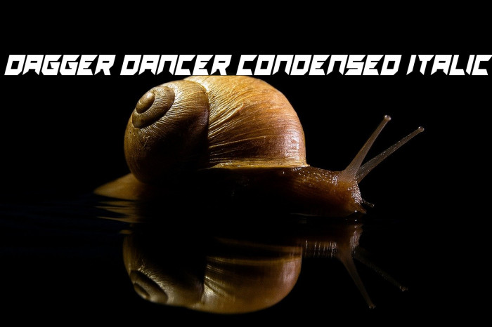 Dagger Dancer Condensed Italic Example 1