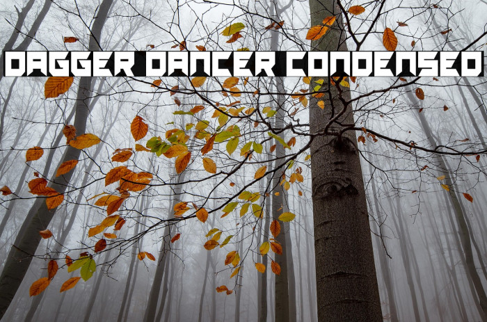 Dagger Dancer Condensed Example 1