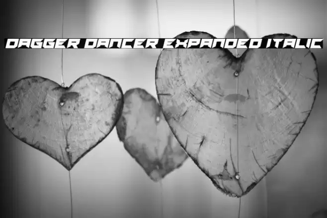 Dagger Dancer Expanded Italic Font examples
