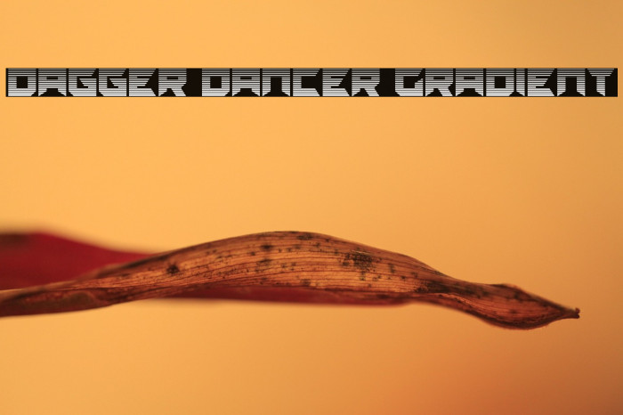 Dagger Dancer Gradient Example 2