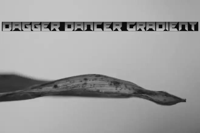 Dagger Dancer Gradient خط examples