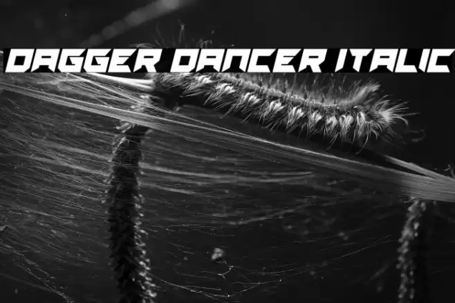 Dagger Dancer Italic 字体 examples