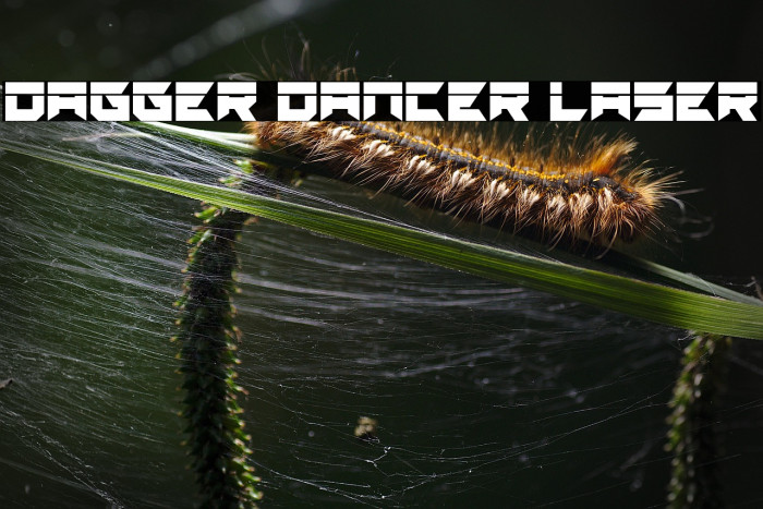 Dagger Dancer Laser Example 1