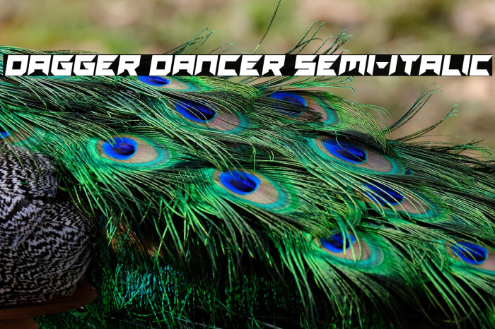 Dagger Dancer Semi-Italic Example 3