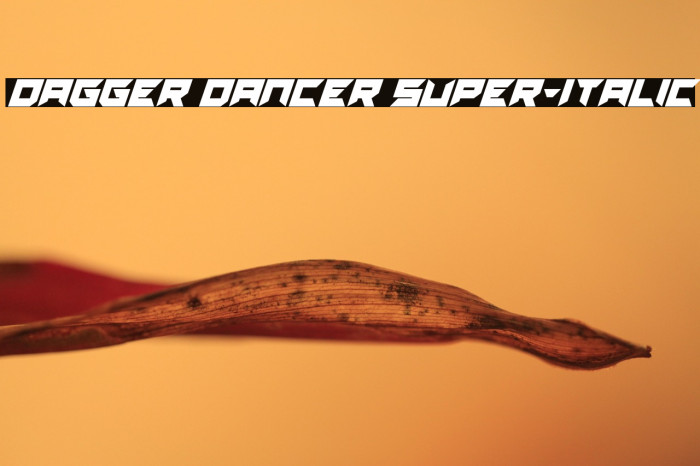 Dagger Dancer Super-Italic Example 1