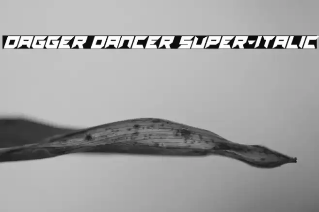 Dagger Dancer Super-Italic Font examples