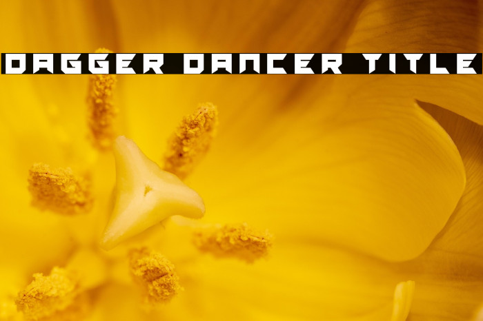 Dagger Dancer Title Example 1