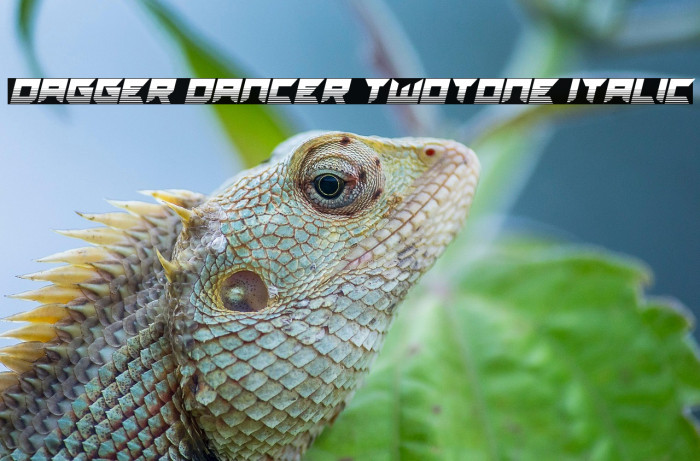 Dagger Dancer Twotone Italic Example 3
